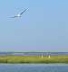 70: CarolAnnManfria_2024-91