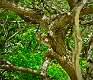 51: AnnaSheldon_2024-3