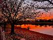 11: BrianBrainum_2024-3