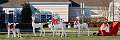 41: MarkShelly_2024-331