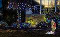 114: BillKirms_2024-208
