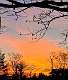 13: CarolAnnManfria_2024-122