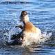 20: MarkShelly_2024-356