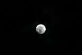 20: DonManfria_2025-6