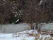 56: DonManfria_2025-29