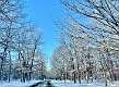 47: KathleenMiddleton_2025-2