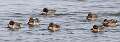 11: MarkShelly_2025-34