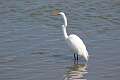 42: AldoCorti_2025-5