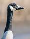 2: BillKirms_2025-67