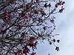 88: DavidWolk_2025-10