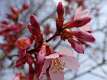101: DavidWolk_2025-11
