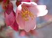 62: DavidWolk_2025-21