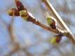 57: DavidWolk_2025-22