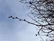 23: DavidWolk_2025-9