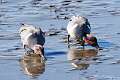 13: MarkShelly_2025-56