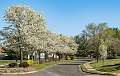 25: BillKirms_2025-100