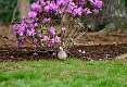 59: DonManfria_2025-68
