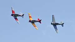 34: AlanToplitz_2025-28