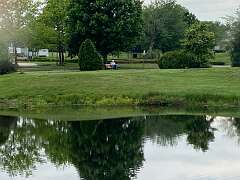 77: BerniceBailine_2025-10