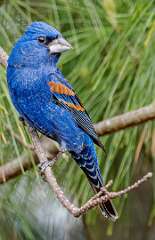 133: BillKirms_2025-109