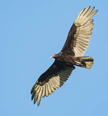 55: BillKirms_2025-112