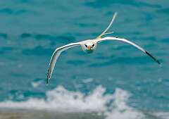 8: BillKirms_2025-113