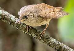 23: BillKirms_2025-129