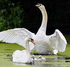 25: BillKirms_2025-130