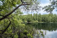 99: BillKirms_2025-131