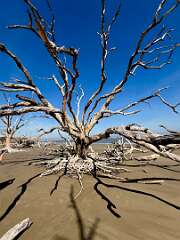 64: DanBrainum_2025-1