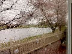 102: DanBrainum_2025-2