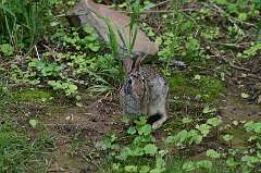 148: DonManfria_2025-113