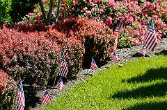 86: DonManfria_2025-85