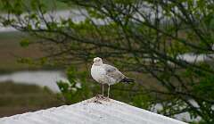 15: DonManfria_2025-88