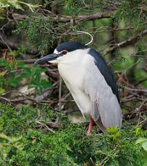 93: MarkShelly_2025-100