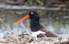 71: MarkShelly_2025-105