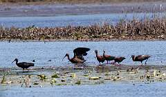 75: MarkShelly_2025-106