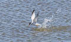 13: MarkShelly_2025-114