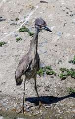 40: MarkShelly_2025-118