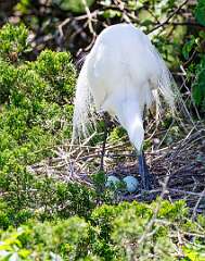 123: MarkShelly_2025-119