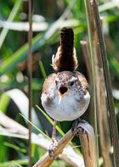 19: MarkShelly_2025-120