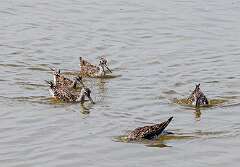 136: MarkShelly_2025-123