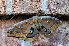 147: MarkShelly_2025-129