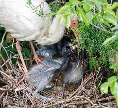 66: MarkShelly_2025-131