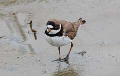 146: MarkShelly_2025-132