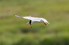 4: MarkShelly_2025-133