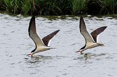 6: MarkShelly_2025-134