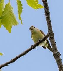 20: MarkShelly_2025-135