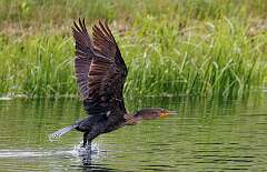 125: MarkShelly_2025-136