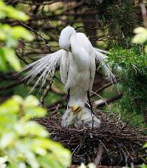 153: MarkShelly_2025-140